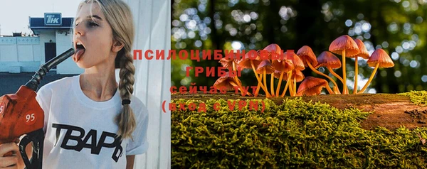 ALPHA PVP Алексин