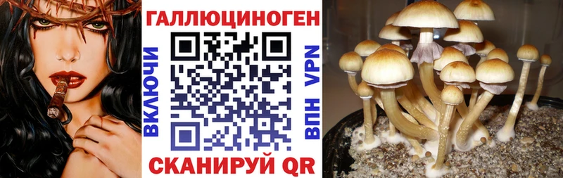 Галлюциногенные грибы мухоморы  Луга 