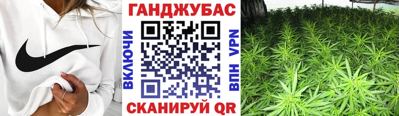 купить закладку  Луга  Каннабис White Widow 